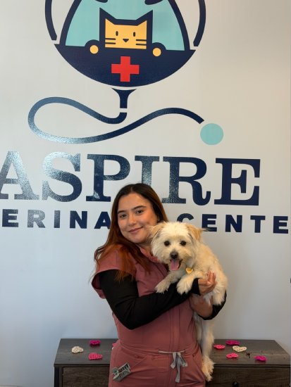 About Aspire Vet Center