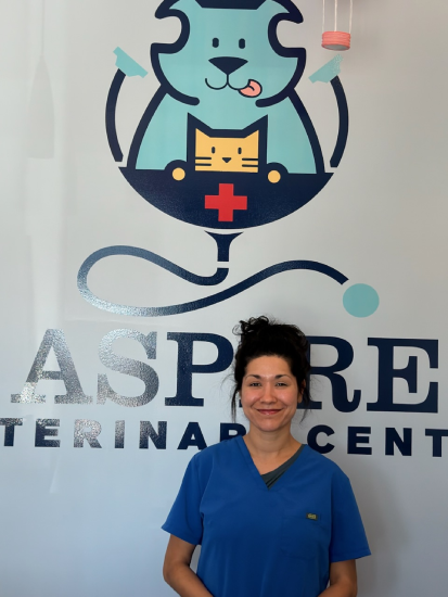 About Aspire Vet Center
