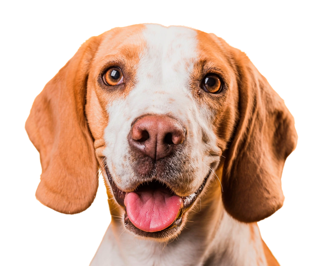 Wellness & Preventative Care in La Palma, CA