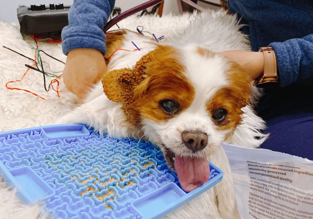 Acupuncture
